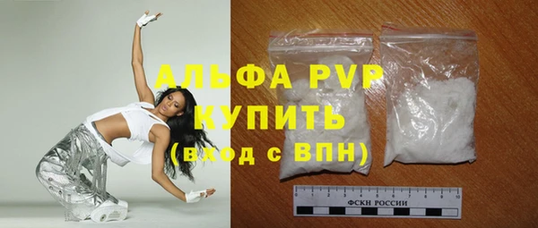 индика Новодвинск