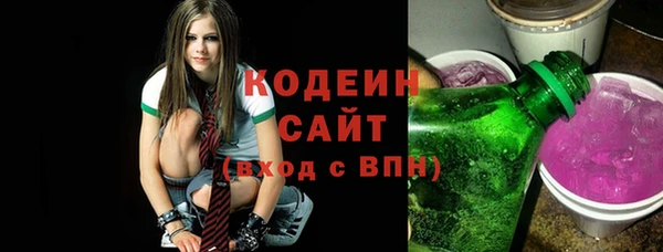 ГАЛЛЮЦИНОГЕННЫЕ ГРИБЫ Бикин