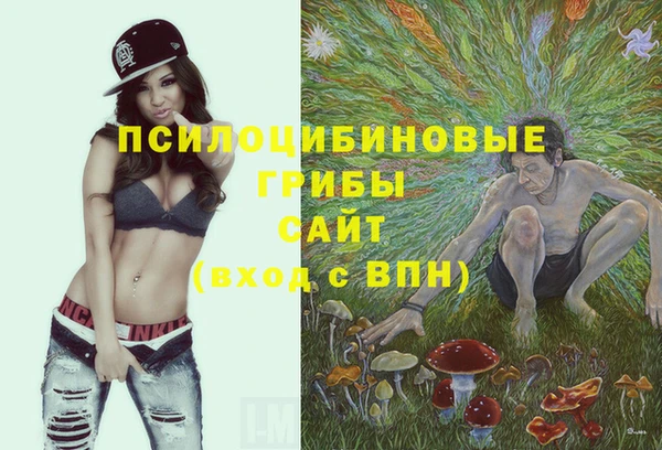Альфа ПВП Ельня