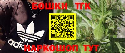 тгк Бийск