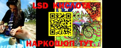 тгк Бийск
