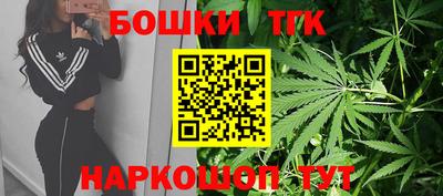 тгк Бийск