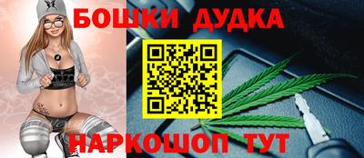 тгк Бийск
