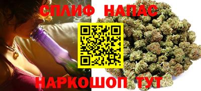 тгк Бийск