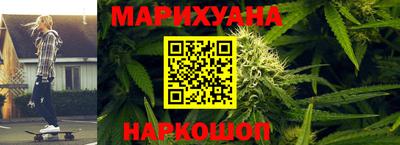 тгк Бийск