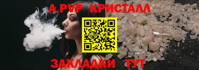 тгк Бийск