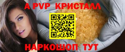 тгк Бийск
