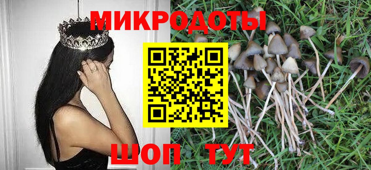 Галлюциногенные грибы Cubensis Краснокамск