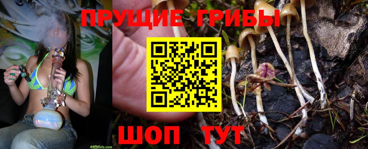 Галлюциногенные грибы Psilocybine cubensis  Вход с VPN  Краснокамск 